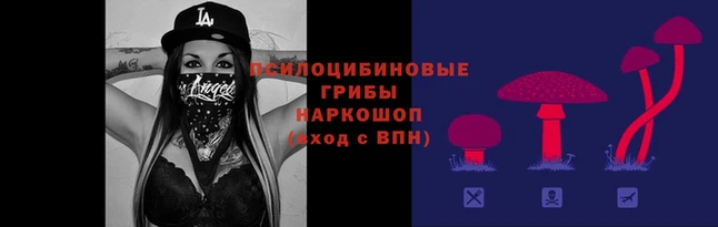 тгк Баксан
