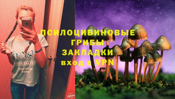 спиды Балахна