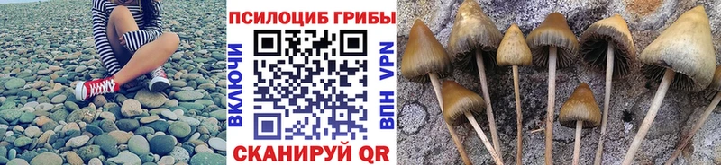 Галлюциногенные грибы MAGIC MUSHROOMS  Мариинский Посад 