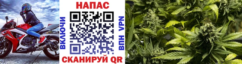 Конопля план  Мариинский Посад 